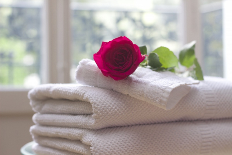 chambre-hote-BRIANCONNET-min_towel_rose_clean_care_salon_spa_white_bath-731641